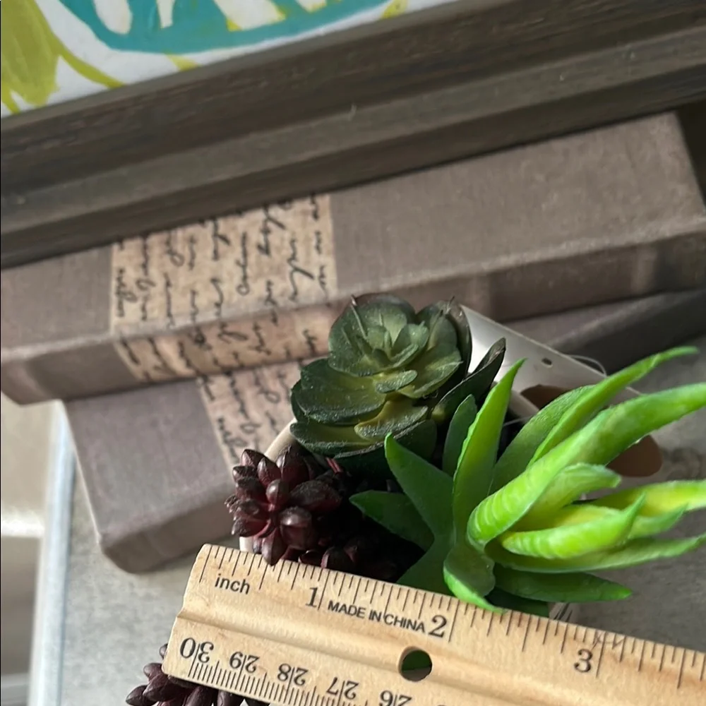 Polka Dot cheetah Planter with Succulents